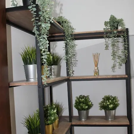 Del Castillo Apartment